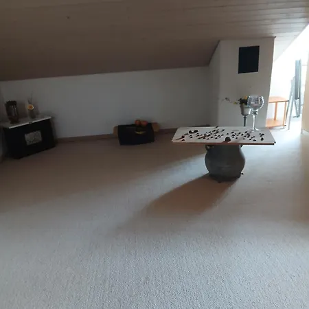 Mit Panoramablick Auf Den Zuerichsee Mit Eigenes Bad Und Terassenzugang Schmerikon